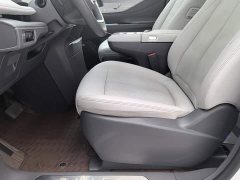 Buick GL8 Deluxe Edition - ფოტო 20
