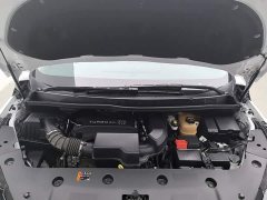 Buick GL8 Deluxe Edition - ფოტო 6