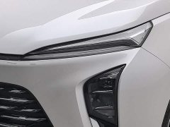 Buick GL8 Deluxe Edition - ფოტო 7