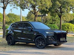 FAW HS5 2.0T 2WD Edition - ფოტო 3