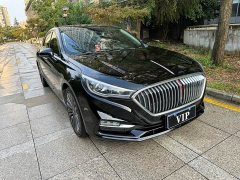 FAW H5 30TD Version Edition - ფოტო 3