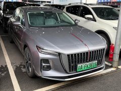 FAW H5 PHEV 170 Edition - ფოტო 3