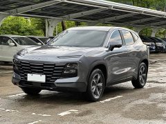 Jetour Dasheng 1.5T DCTPRO - ფოტო 1