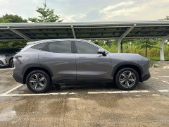 Jetour Dasheng 1.5T DCTPRO - ფოტო 8