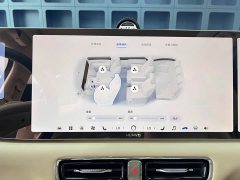 Luxeed V9 Max - ფოტო 19