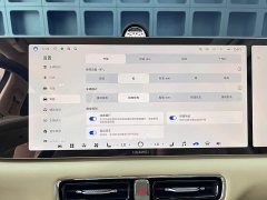 Luxeed V9 Max - ფოტო 20