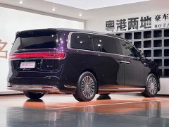 Luxeed V9 Max - ფოტო 6