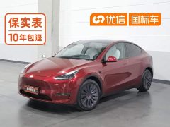 Tesla Model Y Long Range Edition - ფოტო 1