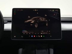 Tesla Model Y Long Range Edition - ფოტო 12
