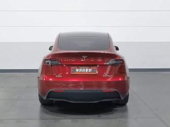 Tesla Model Y Long Range Edition - ფოტო 4