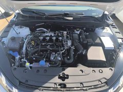 Changan 1.5T 500Bar Version - ფოტო 20