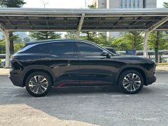 Jetour Dasheng 1.5T DCTPRO - ფოტო 17