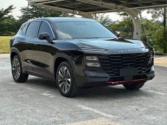 Jetour Dasheng 1.5T DCTPRO - ფოტო 3