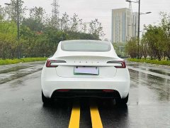 Tesla Model 3 Edition - ფოტო 8