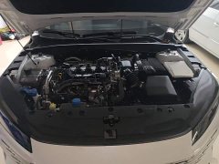 Changan Eado 1.5T 500BarPremium Version - ფოტო 20
