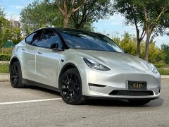 Tesla Model Y Long Range Edition - ფოტო 10