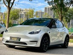 Tesla Model Y Long Range Edition - ფოტო 12