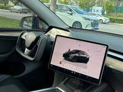 Tesla Model Y Long Range Edition - ფოტო 6