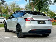 Tesla Model Y Long Range Edition - ფოტო 7