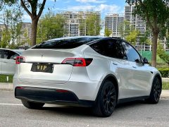 Tesla Model Y Long Range Edition - ფოტო 8