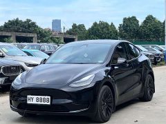 Tesla Model Y Edition - ფოტო 1