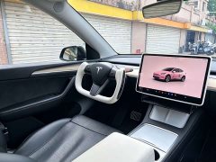 Tesla Model Y Edition - ფოტო 14