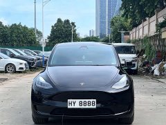 Tesla Model Y Edition - ფოტო 2