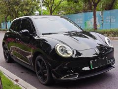 Ora Good Cat 400kmStandard Range Edition - ფოტო 3