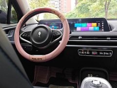 Ora Good Cat 400kmStandard Range Edition - ფოტო 6