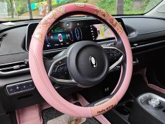 Ora Good Cat 400kmStandard Range Edition - ფოტო 7