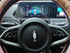 Ora Good Cat 400kmStandard Range Edition - ფოტო 9