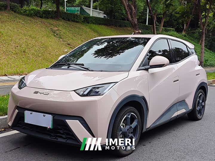 BYD Seagull Edition - ავტომობილი ჩინეთიდან
