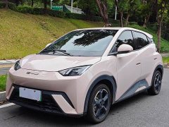 BYD Seagull Edition - ფოტო 1