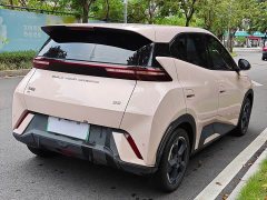 BYD Seagull Edition - ფოტო 15