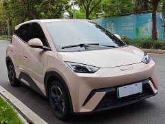 BYD Seagull Edition - ფოტო 2