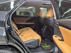 Lexus RX 300 2WD Edition - ფოტო 13