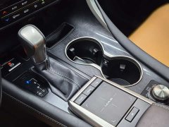 Lexus RX 300 2WD Edition - ფოტო 17