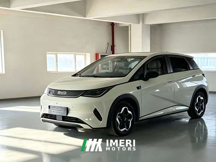 BYD Dolphin Smart Drive Edition 420km Edition - ავტომობილი ჩინეთიდან