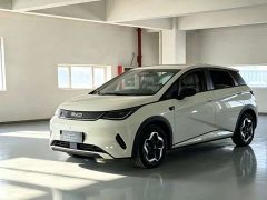 BYD Dolphin Smart Drive Edition 420km Edition - ფოტო 1