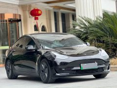 Tesla Model 3 Edition - ფოტო 3