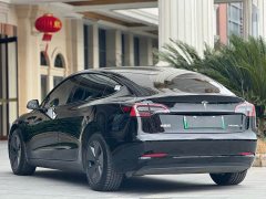 Tesla Model 3 Edition - ფოტო 9