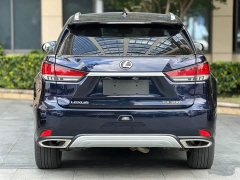 Lexus RX 300 AWD Edition VI - ფოტო 10