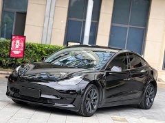 Tesla Model 3 Standard Range Edition 3D6 - ფოტო 1