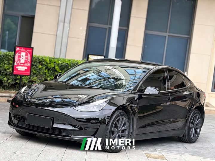 Tesla Model 3 Standard Range Edition 3D6