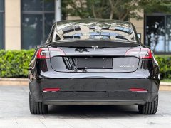 Tesla Model 3 Standard Range Edition 3D6 - ფოტო 10