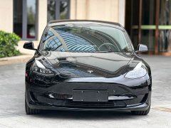 Tesla Model 3 Standard Range Edition 3D6 - ფოტო 2