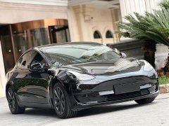 Tesla Model 3 Standard Range Edition 3D6 - ფოტო 3