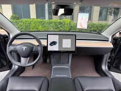 Tesla Model 3 Standard Range Edition 3D6 - ფოტო 7