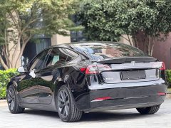 Tesla Model 3 Standard Range Edition 3D6 - ფოტო 8