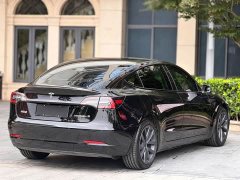 Tesla Model 3 Standard Range Edition 3D6 - ფოტო 9